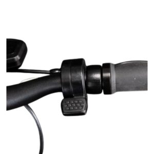Acelerador Smartgyro K2