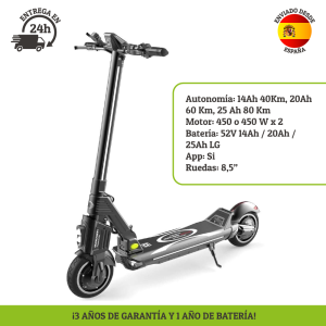 Patinete eléctrico Dualtron Popular