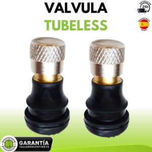 valvula tubeless