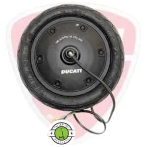 Motor de Repuesto Ducati Pro ll/ Pro ll Plus