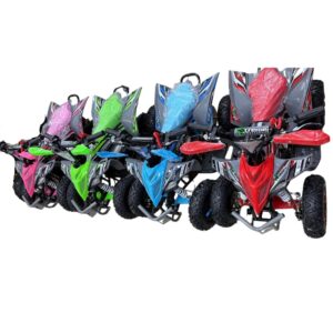 Quad Quads ATV Infantil 36v 1000w