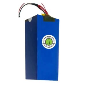 Bateria 60V25AH